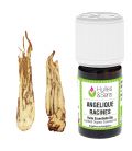 Angelica root essential oil (organic)