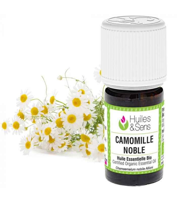 Huile Essentielle Camomille Noble Bio - Romaine - Chamaemelum Nobile