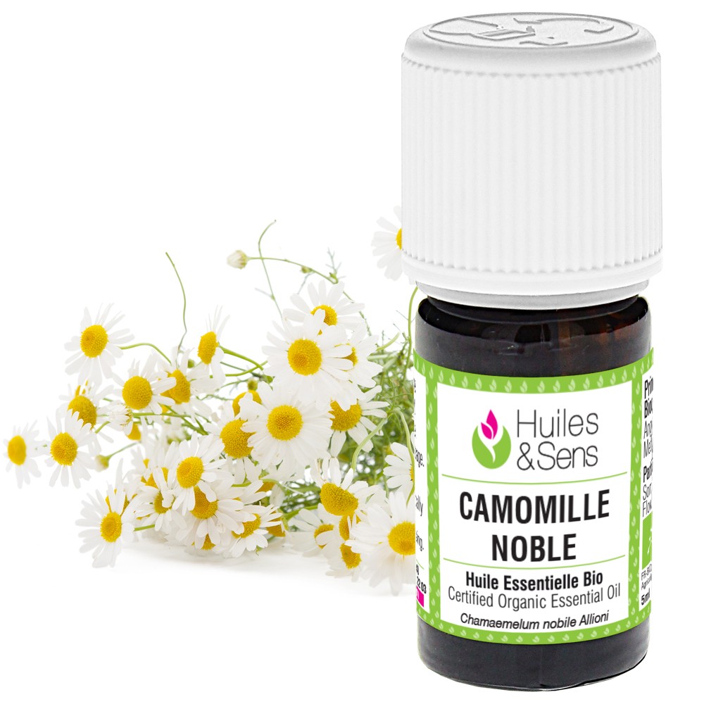 huile essentielle camomille noble (bio) - Conditionnement : 5 ml