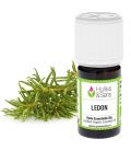 Ledum essential oil (organic)