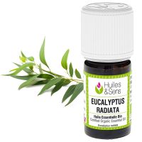 Eucalyptus radiata essential oil (organic)