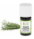 Rosemary verbenone essential oil (organic)