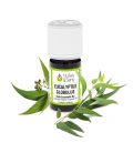 Eucalyptus globulus essential oil (organic)