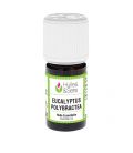 huile essentielle eucalyptus polybractea