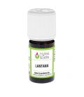 huile essentielle lantana (bio)