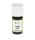 Aspic Lavender essential oil (organic)