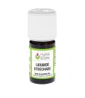 Lavender stoechas essential oil (organic)
