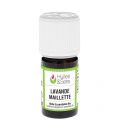 Lavender essential oil (organic)