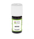 Amyris essential oil