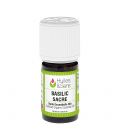 huile essentielle basilic sacré (bio)