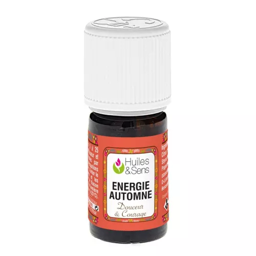 Autum Energy Diffuser Blend