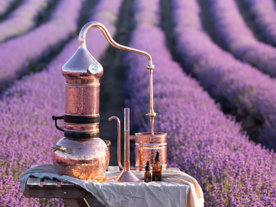 Essential oils from Provence