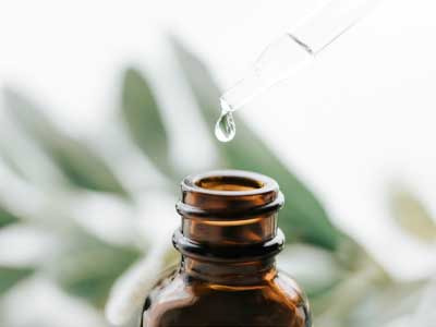 Essential oils for beginners in Aromatherapy